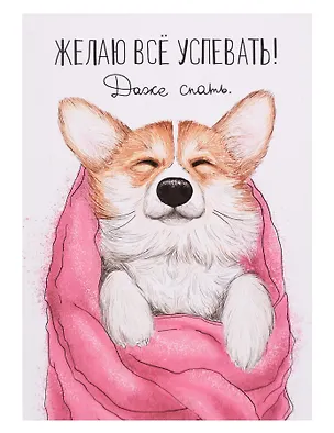 Открытка двойная «Успевать спать» 3073498