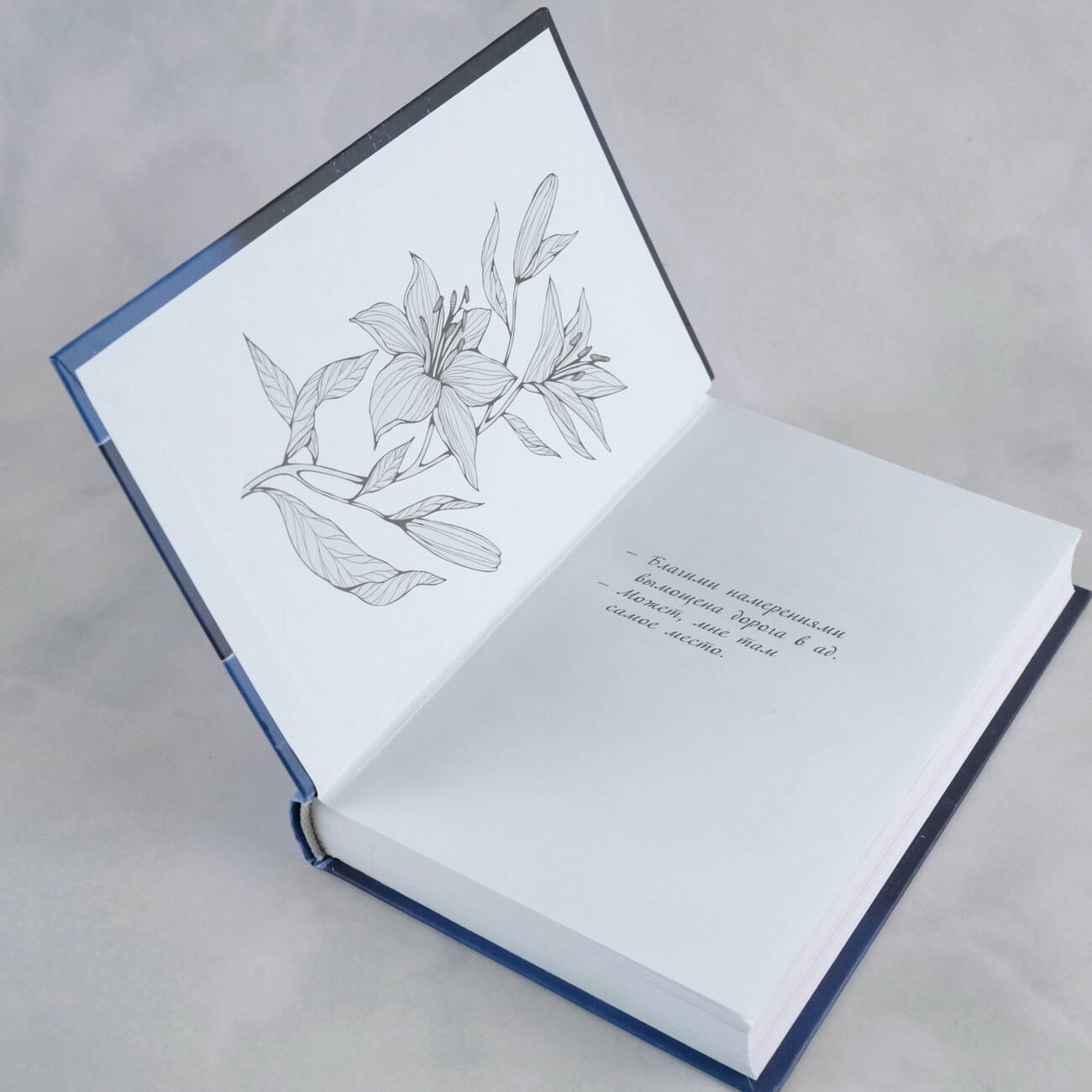 Изображение бумажной книги