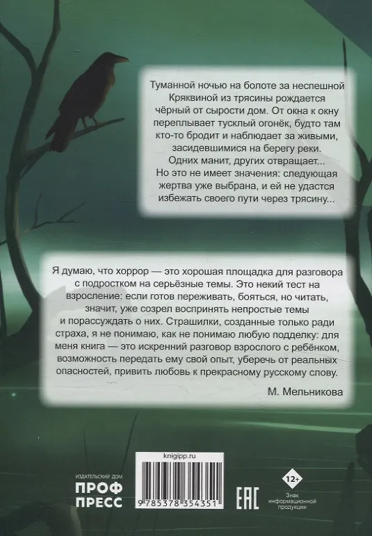 Книга Дом в тумане (Мария Мельникова) — 2
