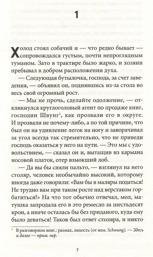 Книга Пятая печать (Ференц Шанта) — 3