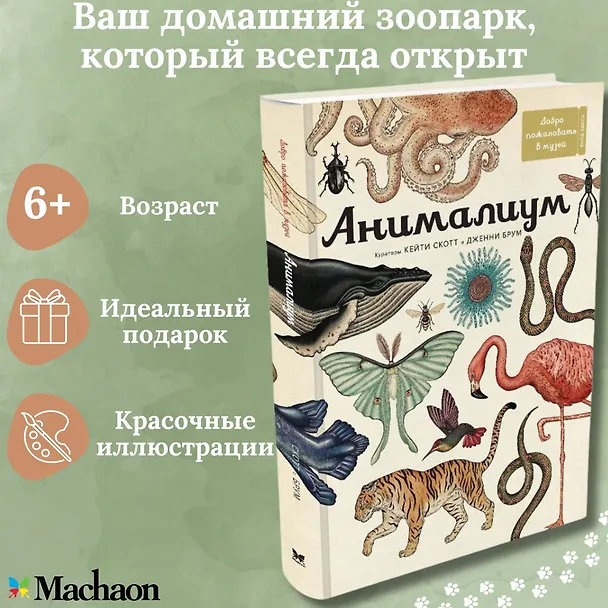 Книга Анималиум (Дженни Брум) — 3