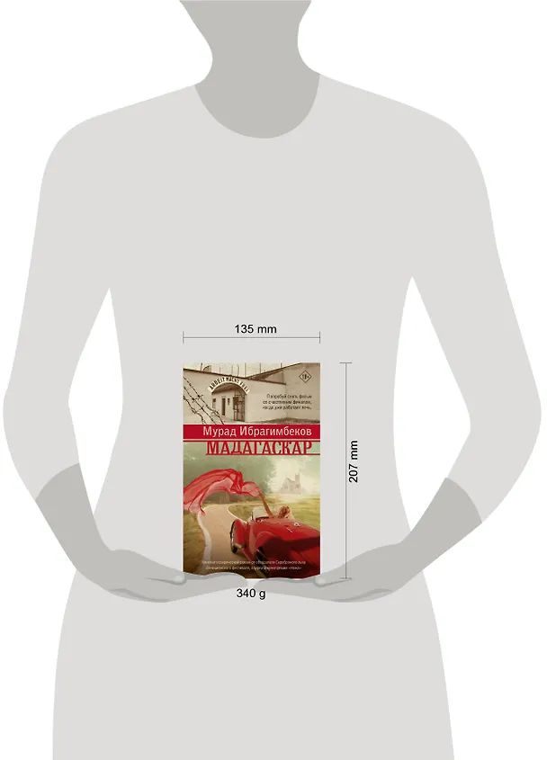 Книга Мадагаскар. Кинематографический роман: роман (Мурад Ибрагимбеков) — 4