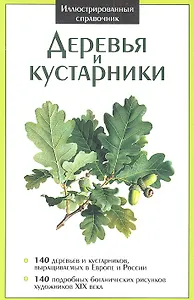 Деревья и кустарники