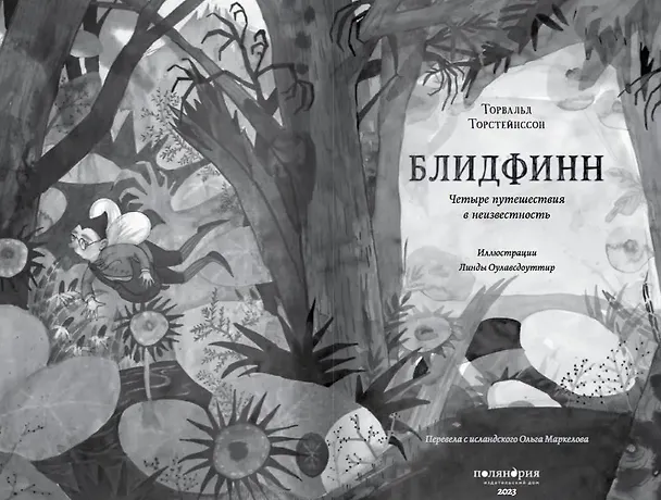 Книга Блидфинн. Четыре путешествия в неизвестность () — 3