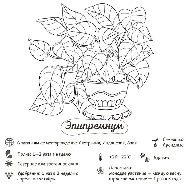 Книга Раскраска-трекер. Растущие в темноте (Екатерина Кузнецова) — 7