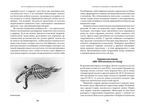 Книга Кратчайшая история Вселенной: От Большого взрыва до наших дней (в сверхдоступном изложении) (Дэвид Бейкер) — 17
