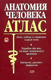 Книга Анатомия человека. Атлас (Юрий Боянович) — 1