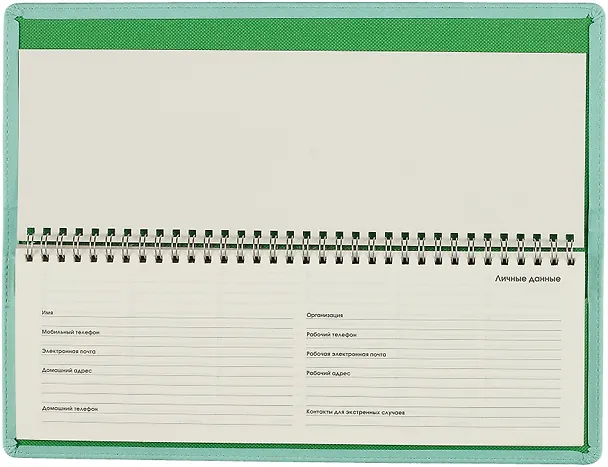 Планинг недат. 56л "Joy Book" ментоловый, настольный, иск.кожа 7Б, скругл.углы, съемный тонир.блок, тисн.фольгой, евроспираль, офсет 2993854 — 5