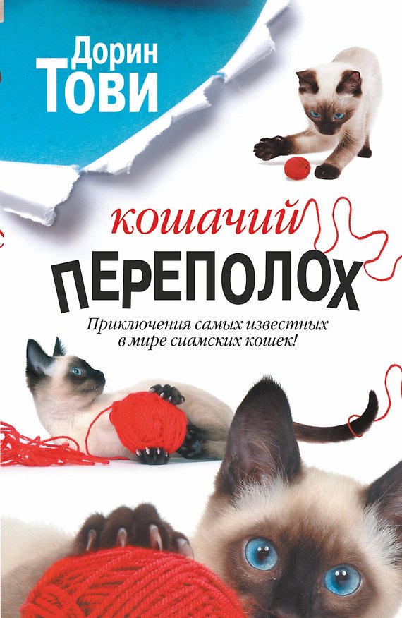 Книга Кошачий переполох: сборник (Дорин Тови) — 1