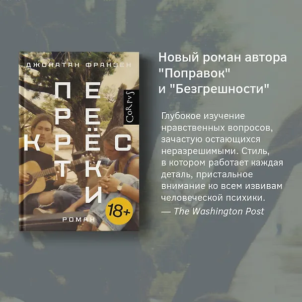 Книга Перекрестки (Джонатан Франзен) — 5
