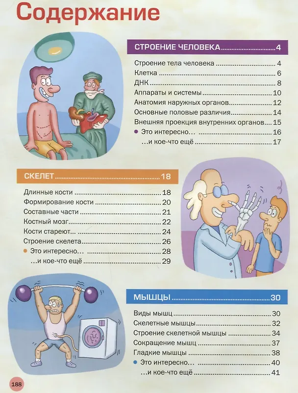 Книга Энциклопедия человека. Как устроено наше тело () — 2