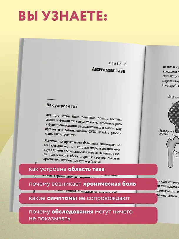 Книга Тазовая боль. Почему она возникает и что с ней делать (Екатерина Филиппова) — 8
