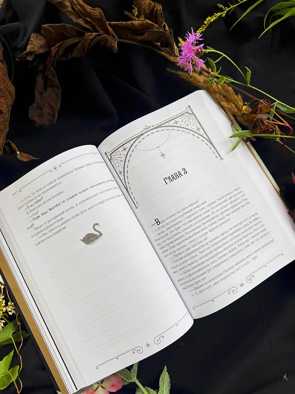 Книга Черный лебедь, ставшая матерью принцессы-лебедя. Том 1 (Аперта) — 17