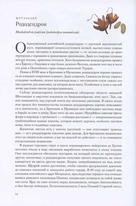 Книга Вокруг света за 80 растений (Джонатан Дрори) — 9