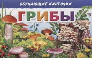 Обучающие карточки "Грибы" — 2730314 — 1