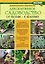 Декоративное садоводство : от теории к практике — 2239926 — 1