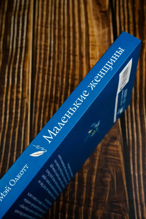 Книга Маленькие женщины (Луиза Мэй Олкотт) — 10