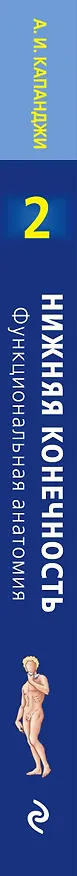 Книга Нижняя конечность: Функциональная анатомия. Том 2. 819 цветных иллюстраций (Адальберт Капанджи) — 3
