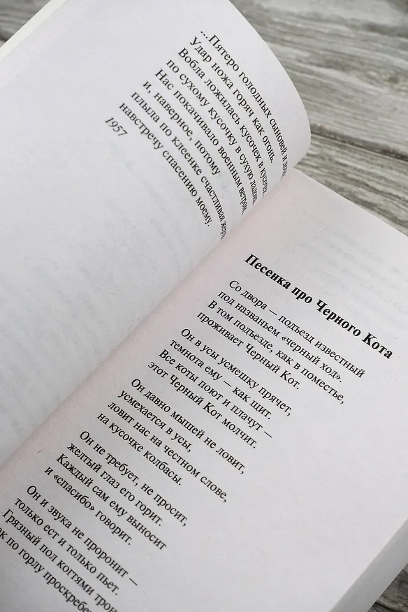 Книга Надпись на камне (Булат Окуджава) — 8