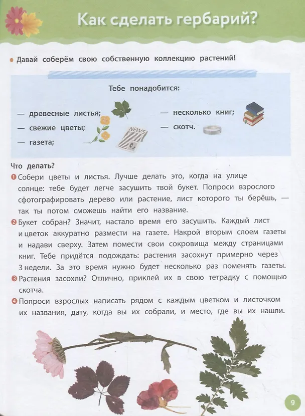 Книга Рабочая тетрадь Монтессори. Мои маленькие открытия (Дельфин Урвуа) — 7