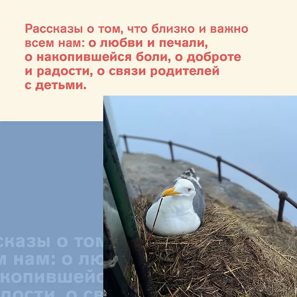 Книга Камера хранения (Нюта Федермессер) — 9