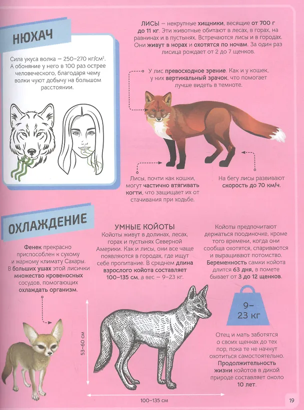 Книга Животные (Алекс Вулф) — 5