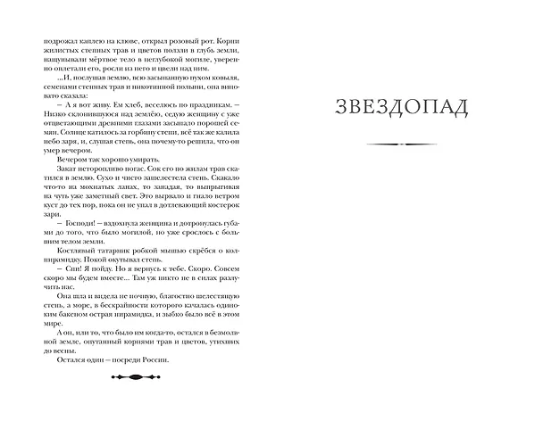 Книга Пастух и пастушка. Звездопад (Виктор Астафьев) — 10