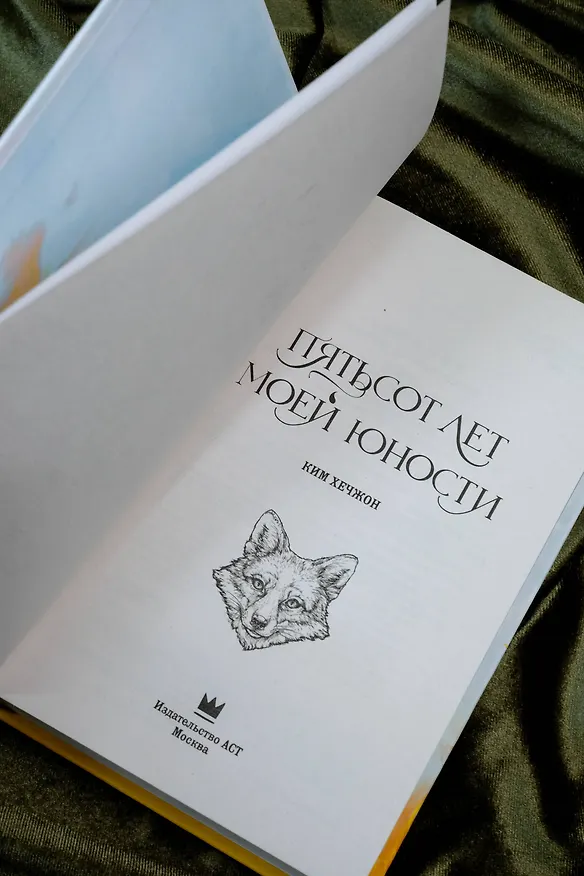 Книга Пятьсот лет моей юности (Ким Хечжон) — 8