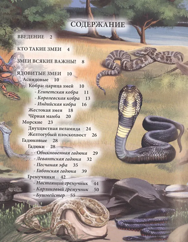 Книга ЭНЦИКЛОПЕДИЯ. ХОЧУ ЗНАТЬ. ЗМЕИ () — 2