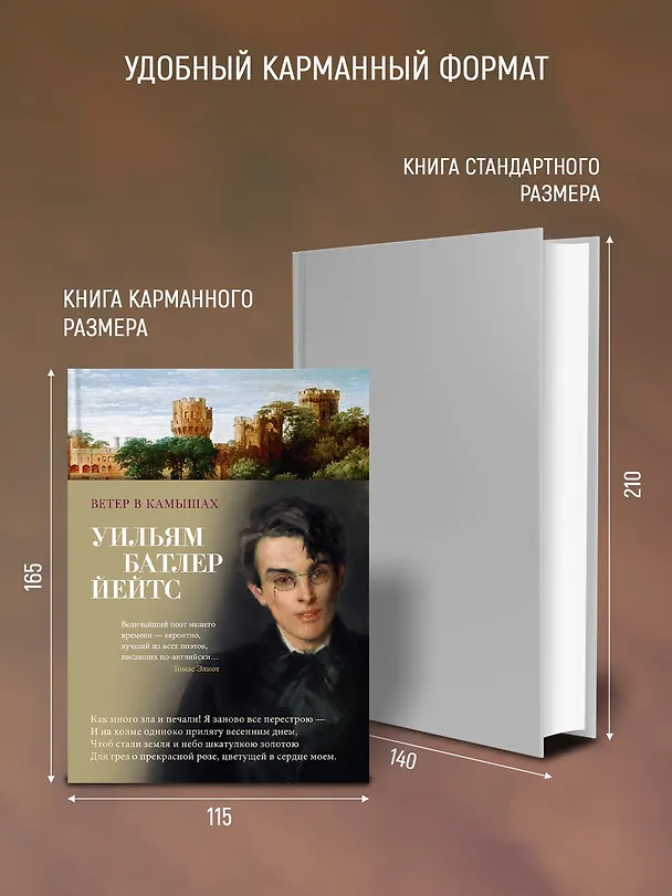 Книга Ветер в камышах (Уильям Йейтс) — 7