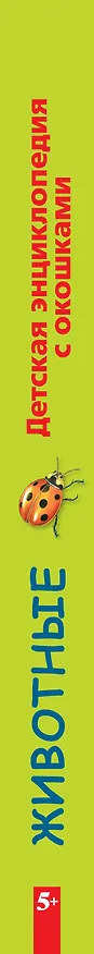 Книга Животные / Детская энциклопедия с окошками (Ирина Травина) — 3