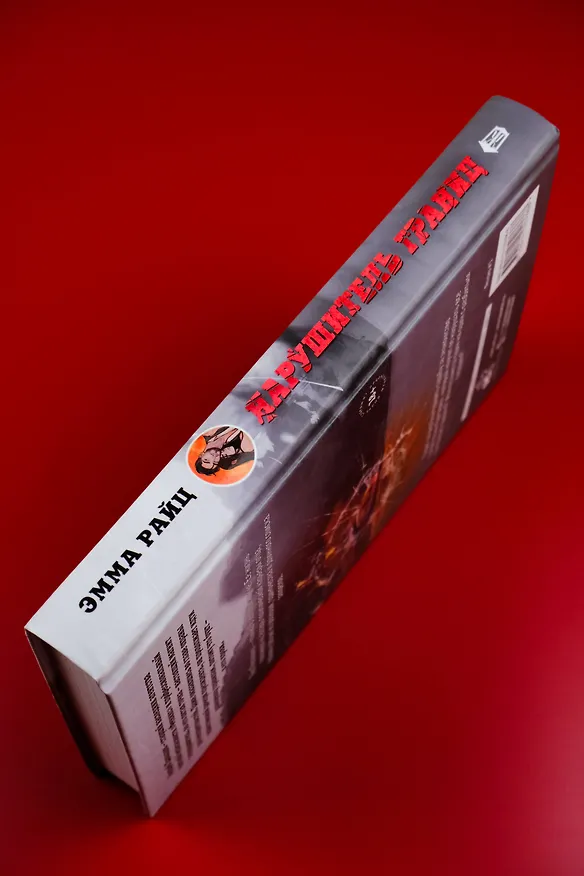 Книга Нарушитель границ (Эмма Райц) — 10