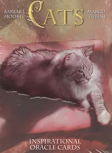 Оракул Кошек