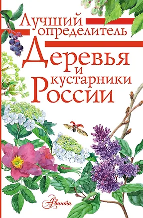 Книга Деревья и кустарники России. Определитель (Ирина Пескова)