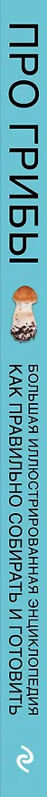 Книга Про грибы. Как правильно собирать и готовить (Татьяна Ильина) — 3