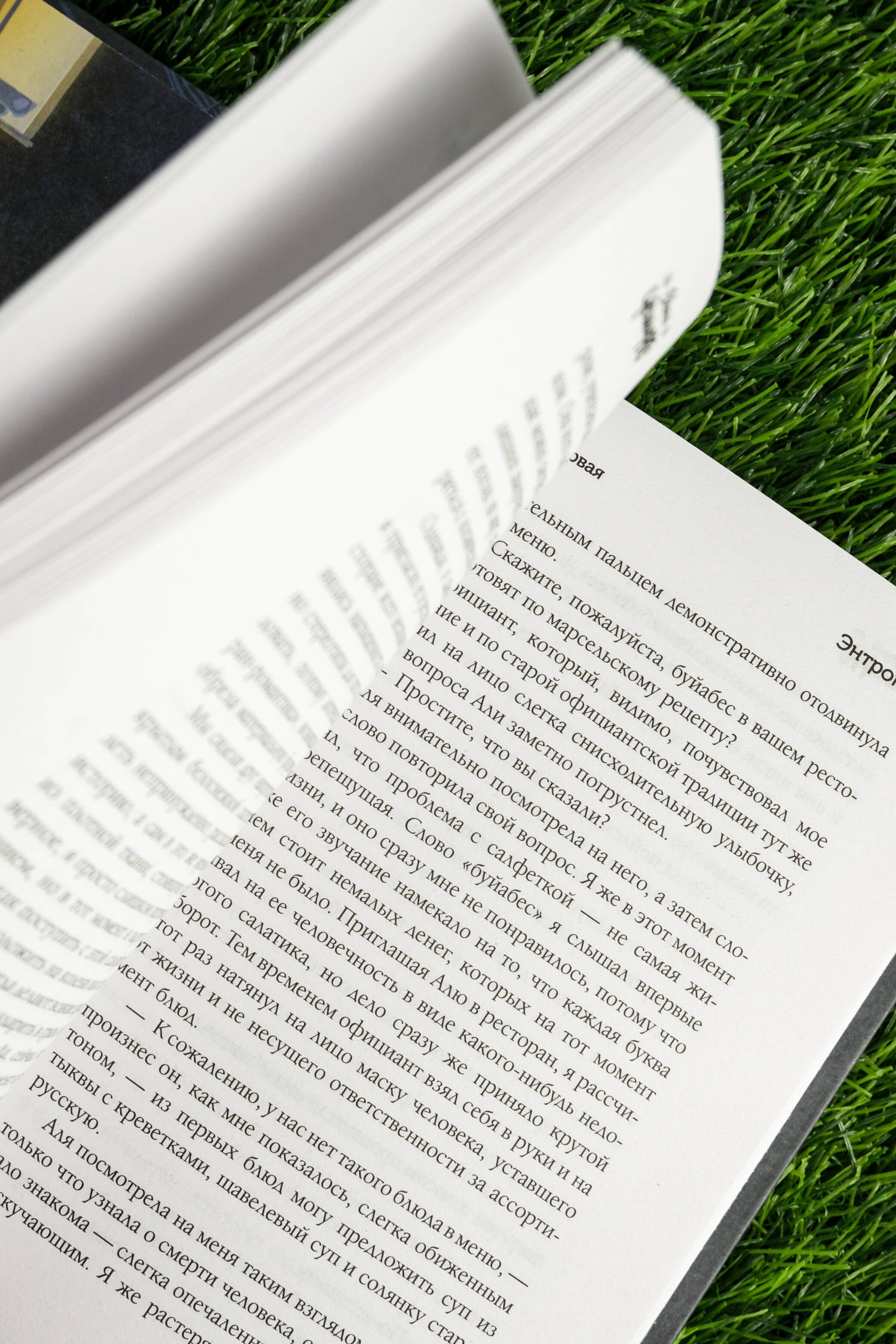 Изображение бумажной книги