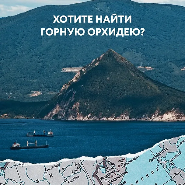 Книга 1000 лучших мест России, которые нужно увидеть за свою жизнь, 4-е издание (стерео-варио Собор Василия Блаженного) (Юлия Пятницына, Вита Пристромова, О.В. Добросинская) — 11