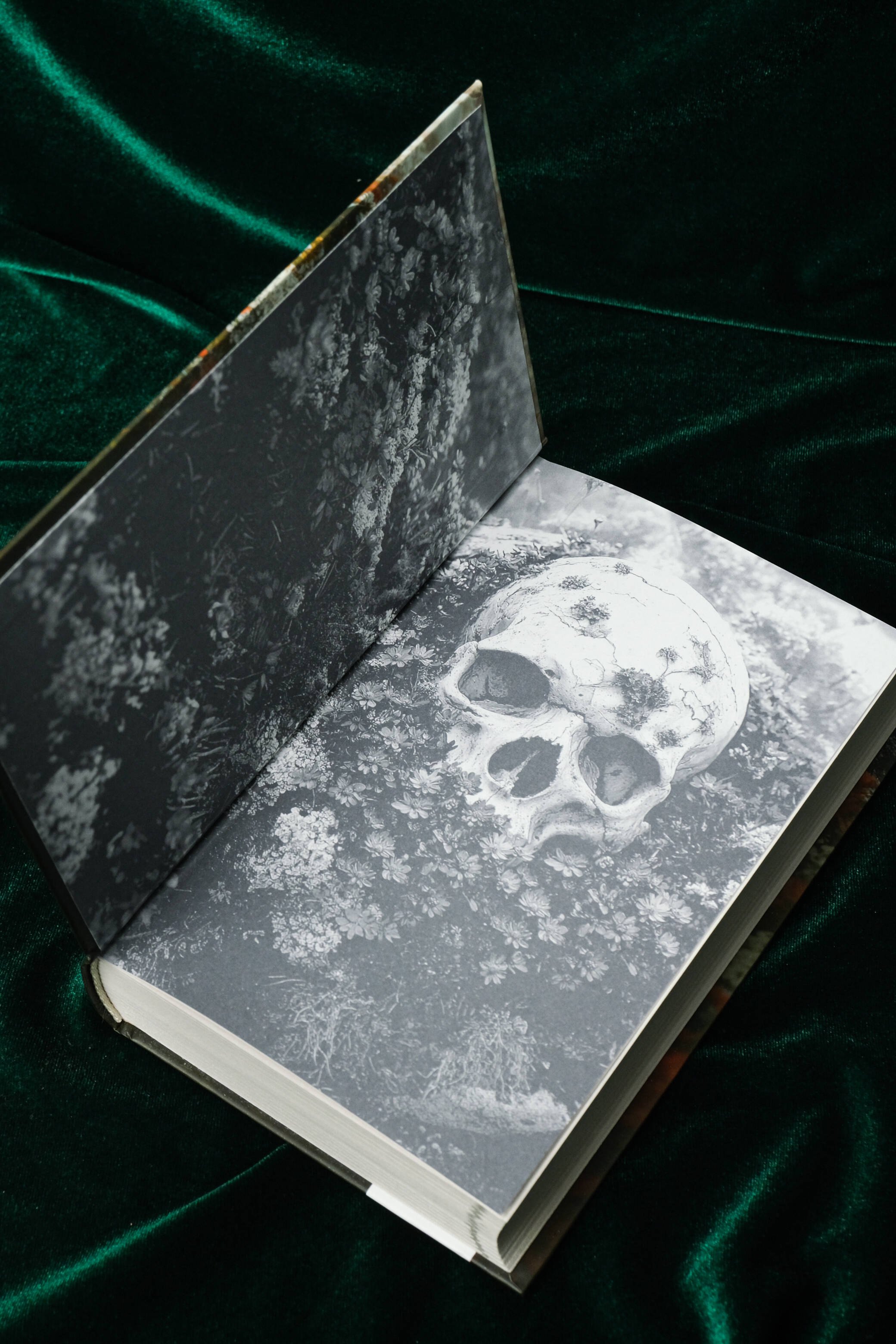 Изображение бумажной книги