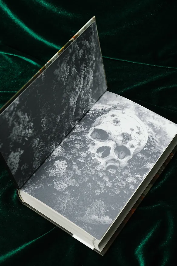Книга Монстр из Арденнского леса. Песнь лабиринта (Ника Элаф) — 8