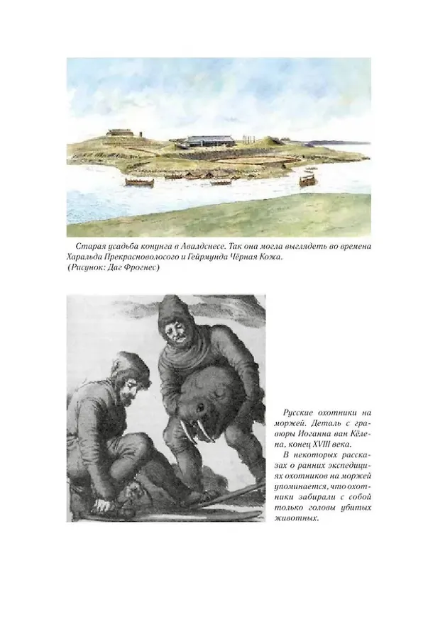 Книга Чёрный Викинг (Бергсвейн Биргиссон) — 4