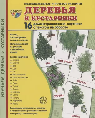 Дем. картинки СУПЕР Деревья и кустарники.16 демонстр.картинок с текстом(173х220мм) — 2804615 — 1