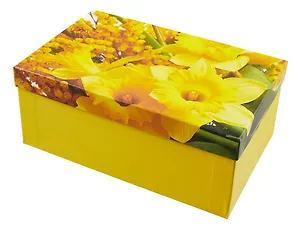 Коробка подарочная "Мимоза" 26*17*11см, , картон