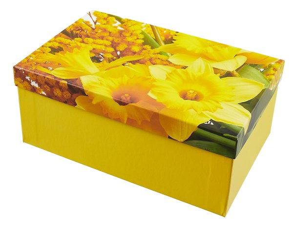 Коробка подарочная "Мимоза" 26*17*11см, , картон 3032618 — 1