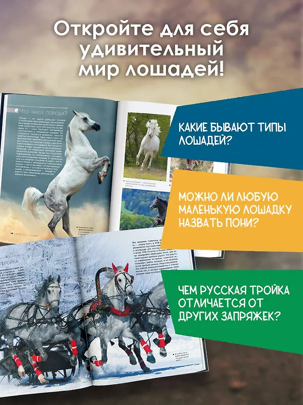 Книга Большая книга о лошадях и пони. 1001 фотография (Анна Спектор) — 6