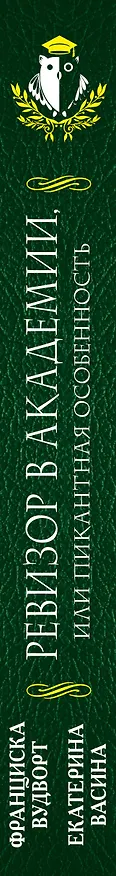 Книга Ревизор в Академии, или Пикантная особенность (Екатерина Васина, Франциска Вудворт) — 3
