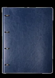 Тетрадь на кольцах в клетку InFolio, Study Elegance, 120 листов