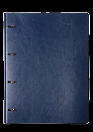 Тетрадь на кольцах в клетку InFolio, Study Elegance, 120 листов 335053