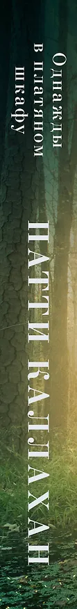 Книга Однажды в платяном шкафу (Патти Каллахан) — 3