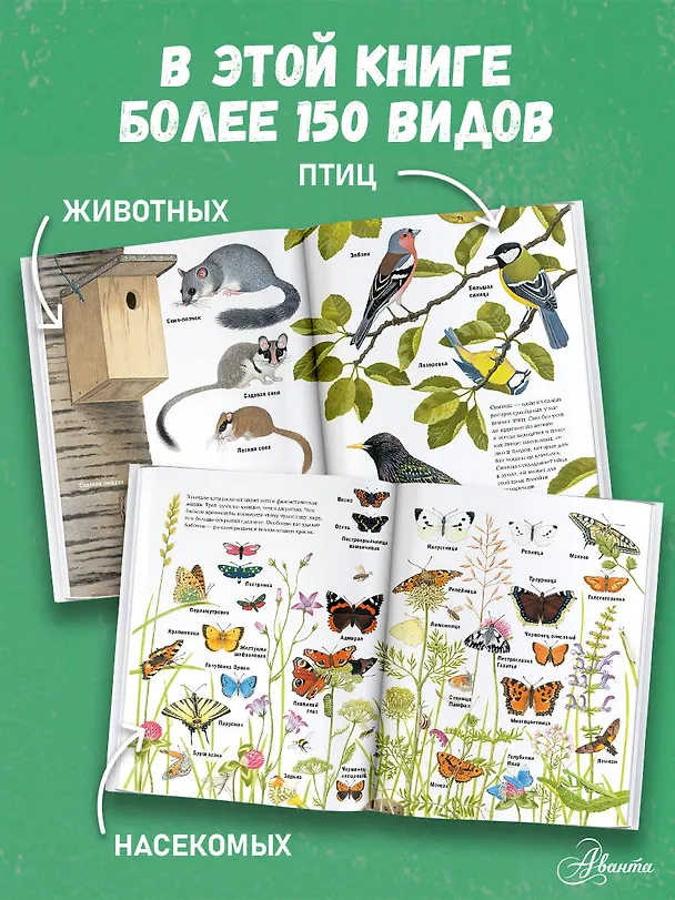 Книга Животные рядом с нами (Томас Мюллер) — 5