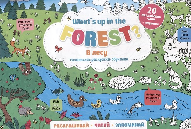 Книга What`s up in the forest / В лесу. Гигантская раскраска-обучалка. 20 английских слов + задание. Раскрашивай. Читай. Запоминай () — 1